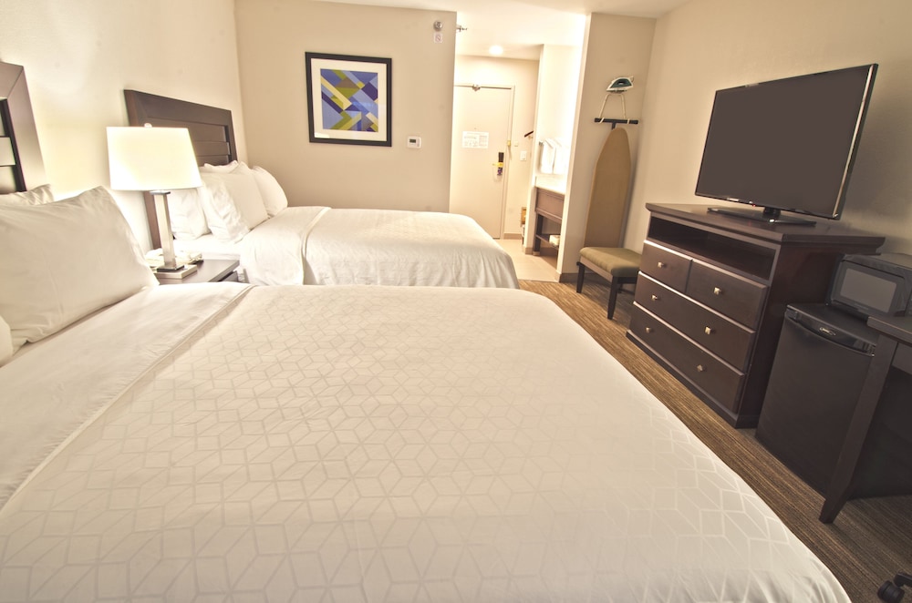 Holiday Inn Express Hotel And Suites Chicago Libertyville 23/63