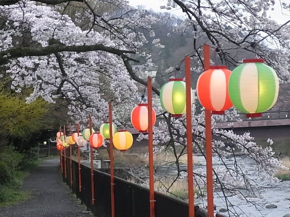 Hakone Highland Hotel 46/50