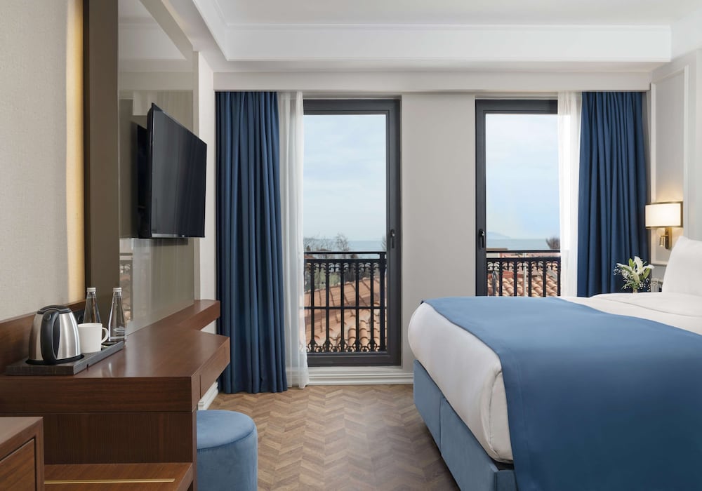 Royan Hotel Hagia Sophia Istanbul, A Member of Radisson Individuals 13/50