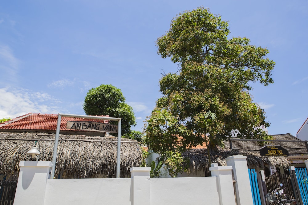 Cashew Tree Bungalow photo5