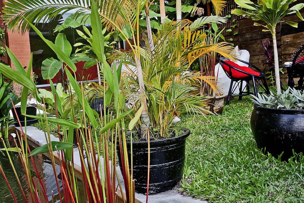 Angkor Panoramic Boutique Hotel 40/50
