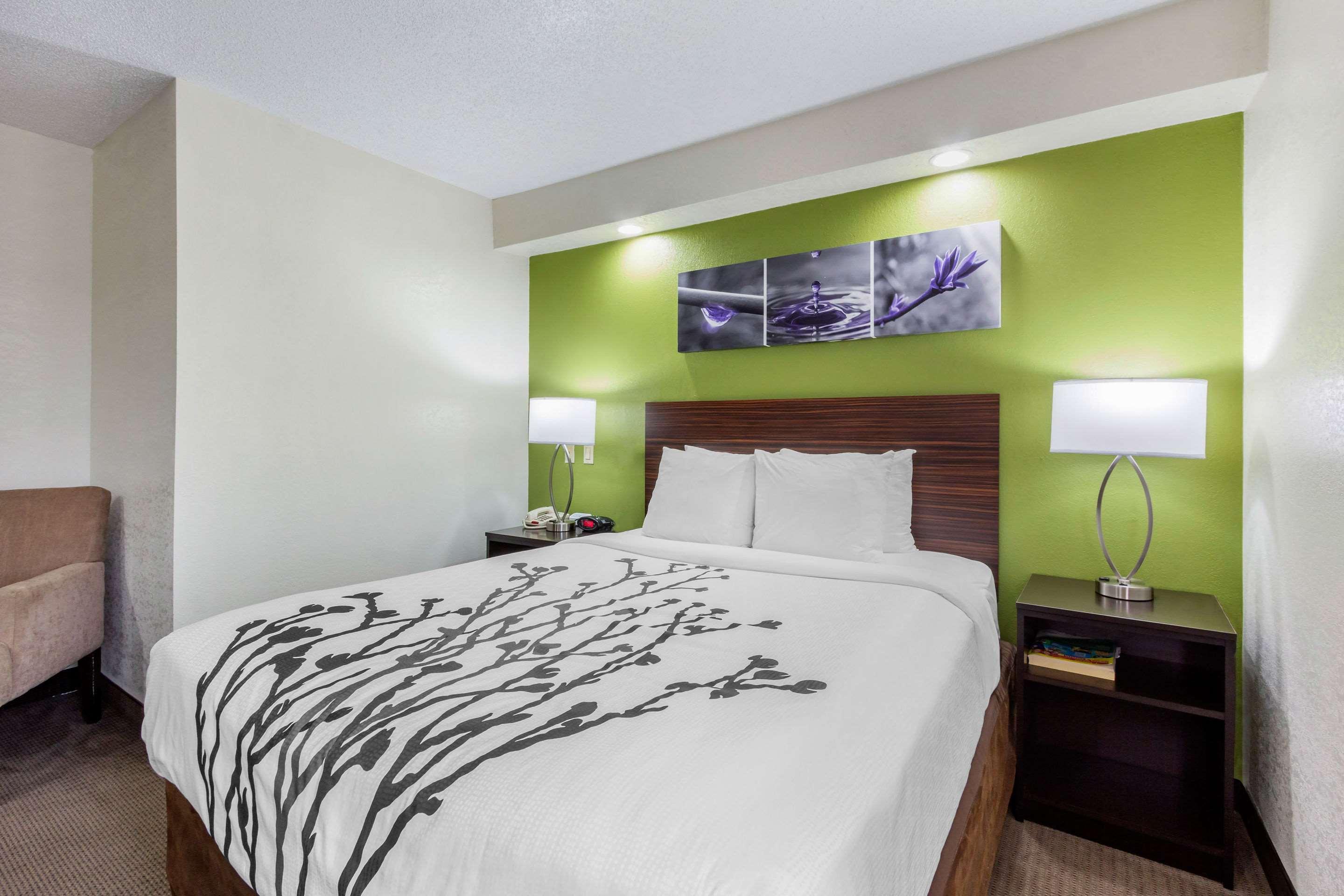 Room, Double Bed