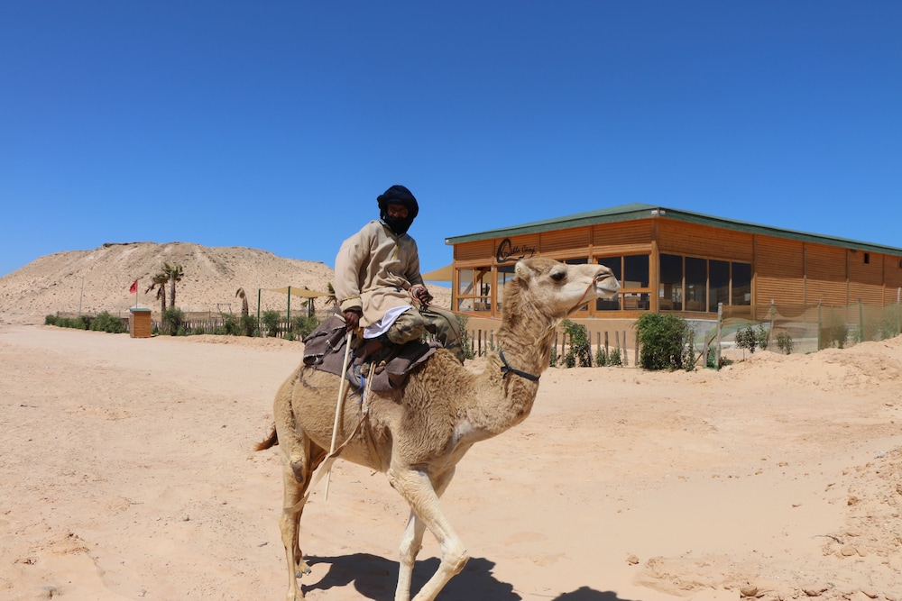 HOTEL DAKHLA CAMP 38/50