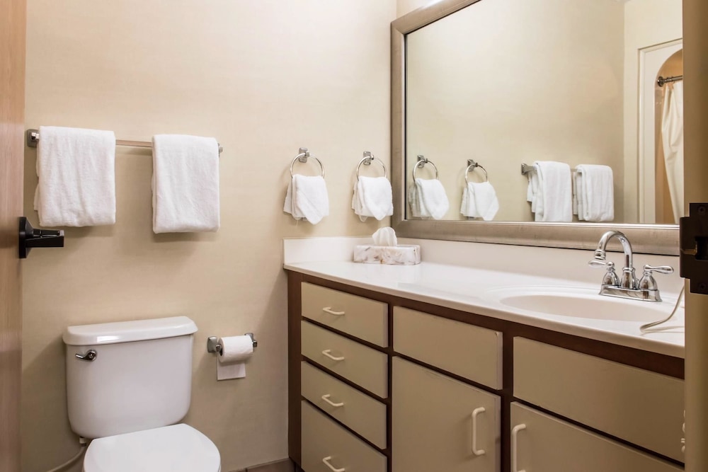 MainStay Suites of Lancaster County 14/42