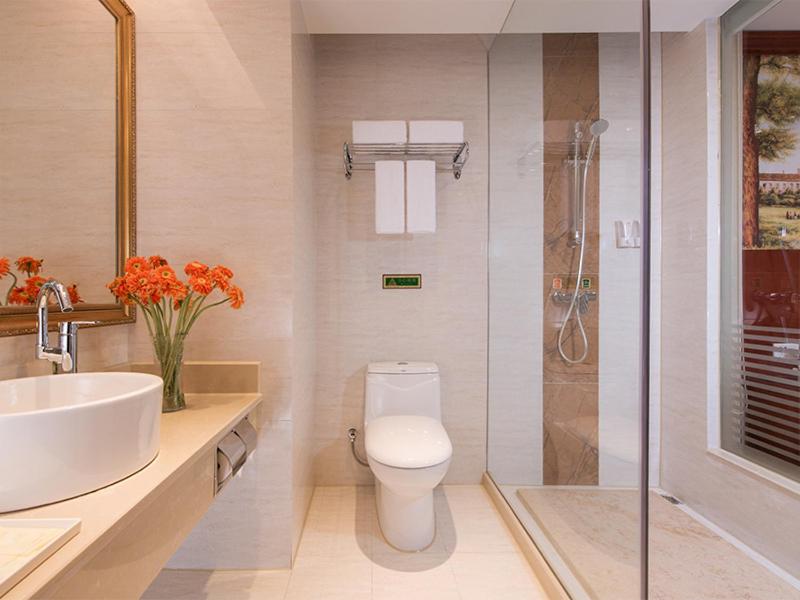 Vienna Hotel (Shenzhen Bao'an Xin'an) 53/54