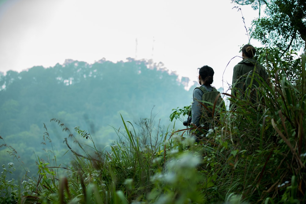 Wayanad Wild - Cgh Earth 34/48