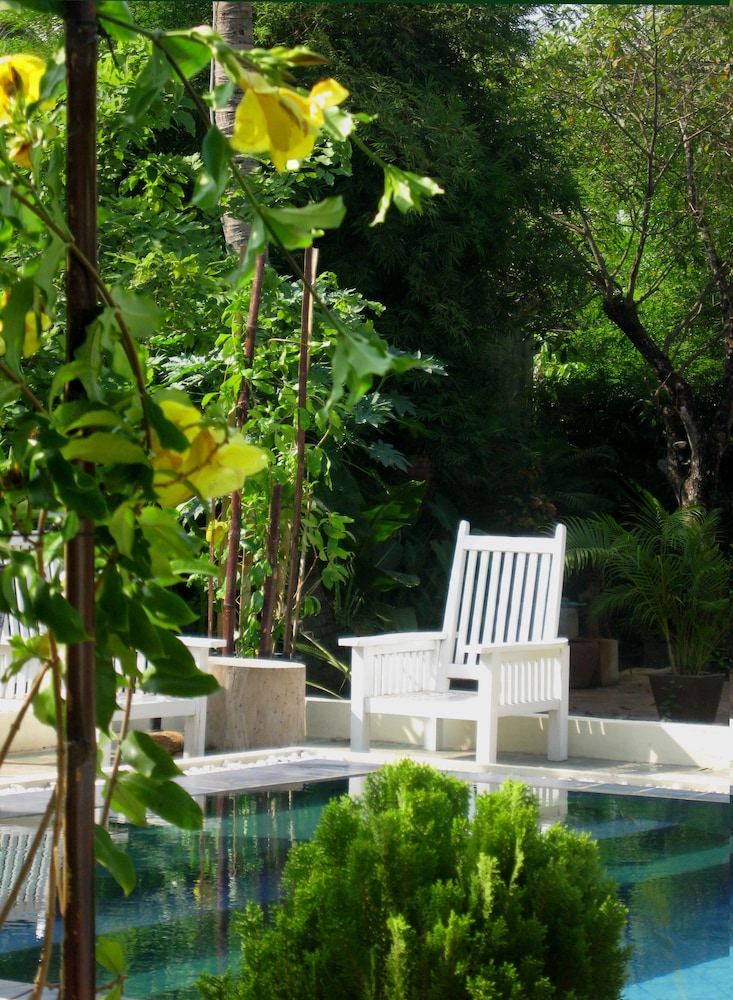 The Cockatoo Nature Resort Spa 34/50