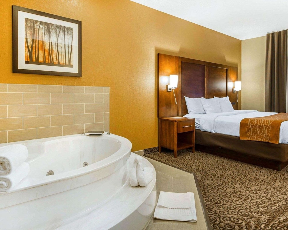 Comfort Suites Ramsey MN 31/31