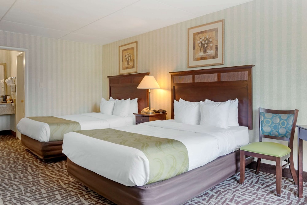 Quality Inn Fredericksburg Near Historic Downtown 13/44