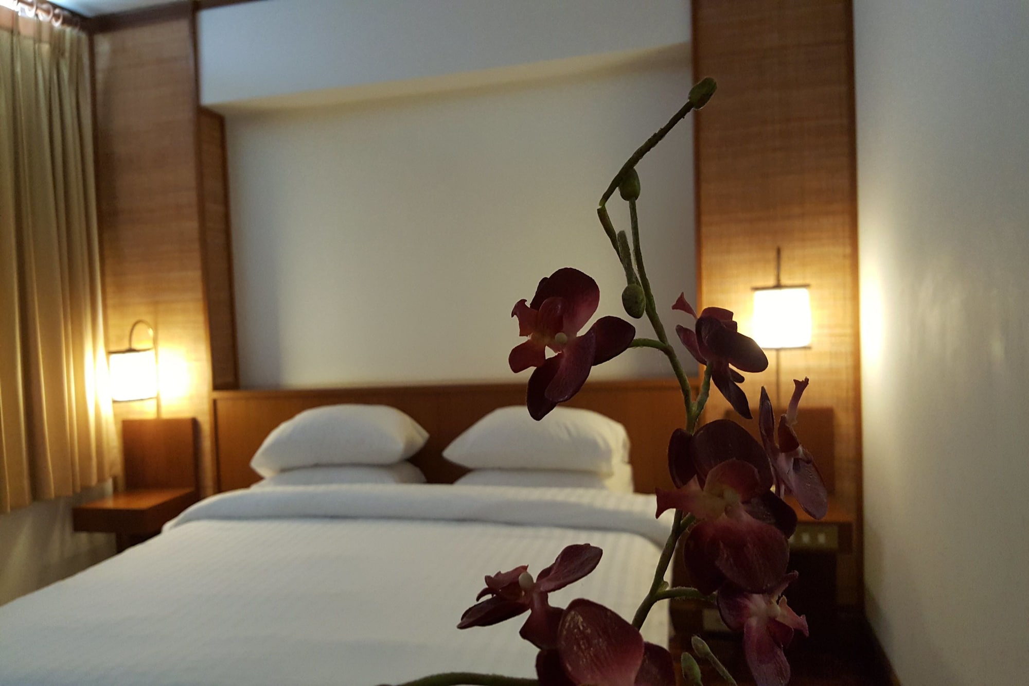 غرفة ديلوكس بسرير مزدوج، Dusit Hotel 2/3