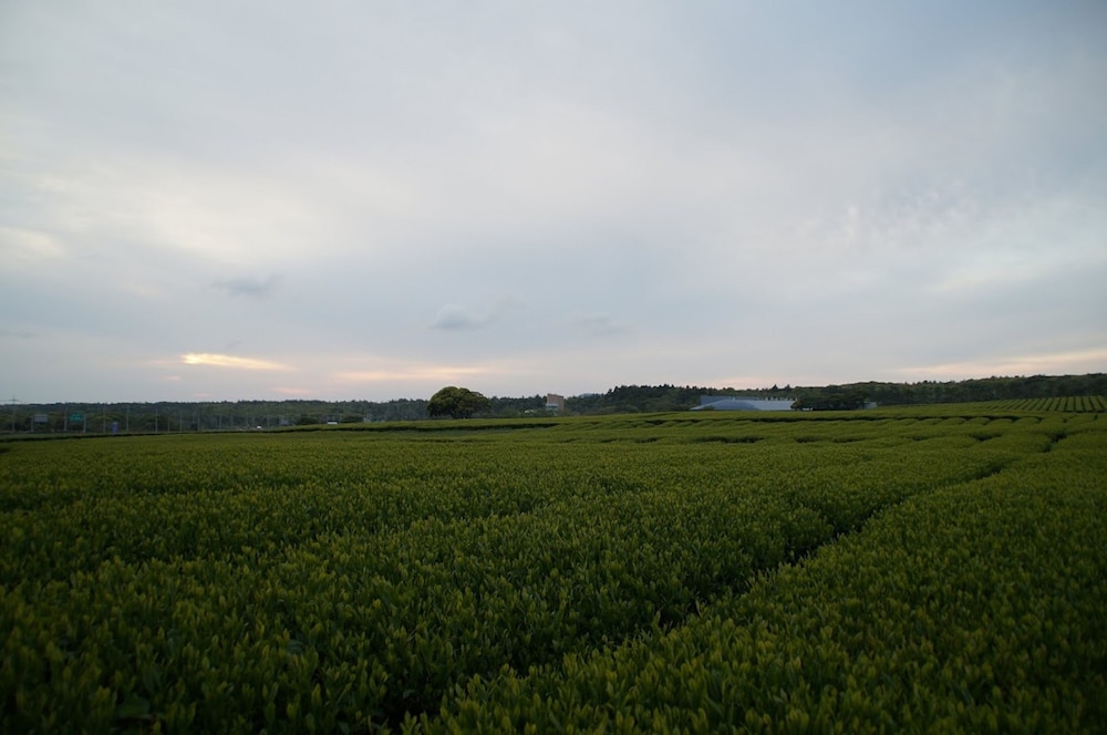 Jeju Aerospace Hotel 36/39