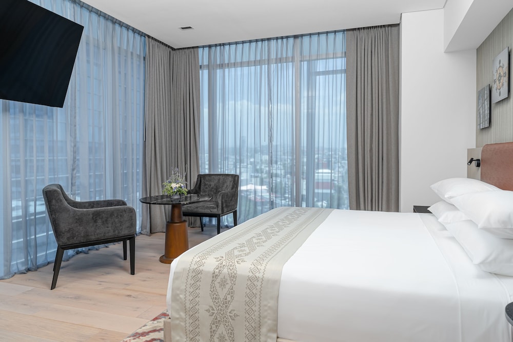 Hyatt Regency Mexico City Insurgentes 27/65