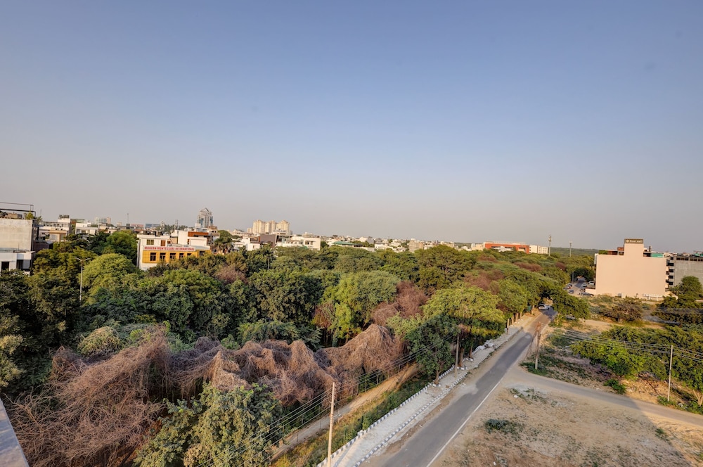 Saltstayz Premier Sector 42 - Golf Course Road 59/62