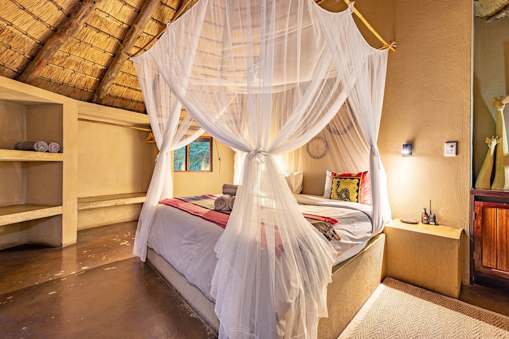 Umlani Bushcamp - Lodge 6/50
