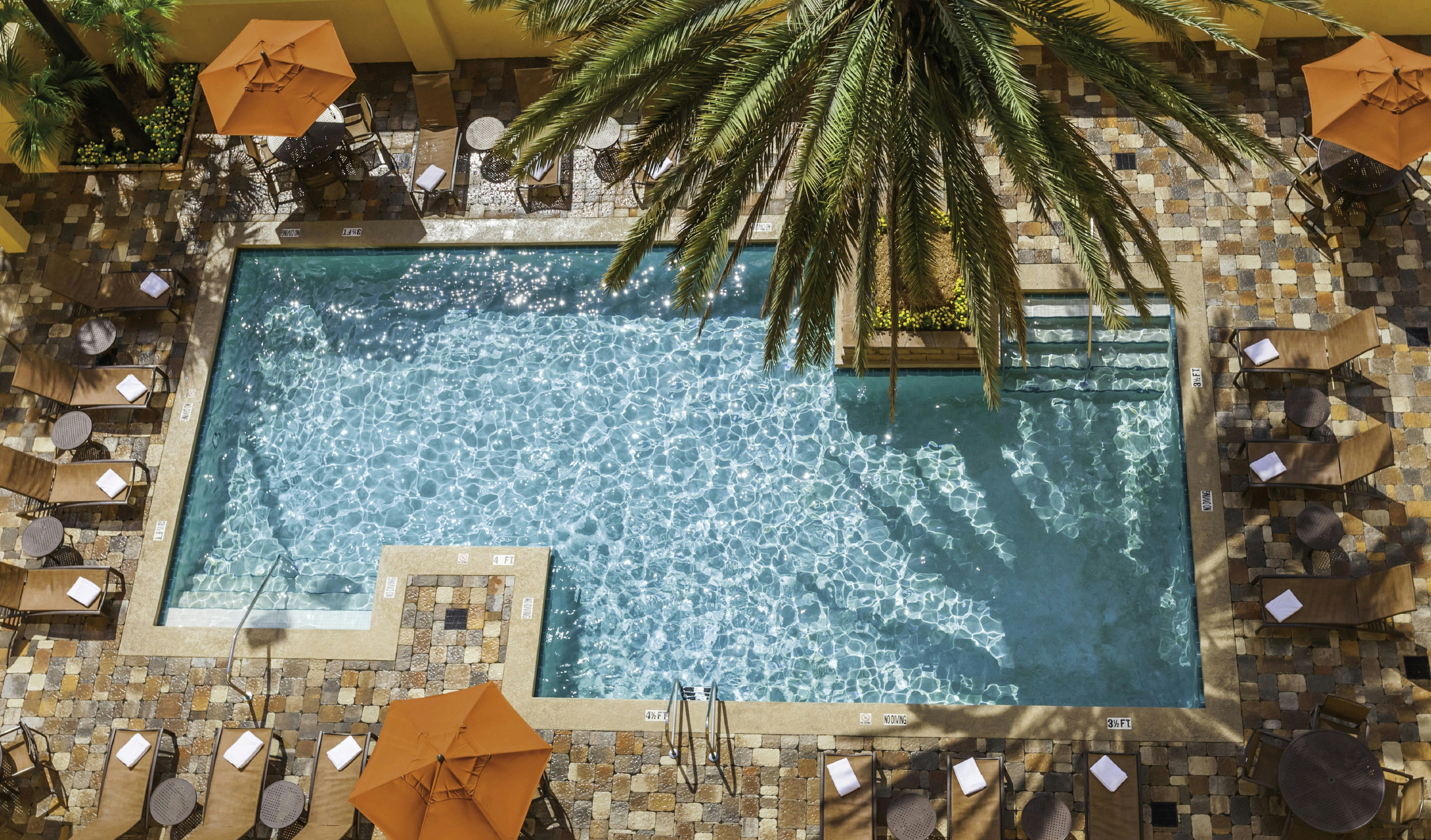 Embassy Suites by Hilton Orlando International Drive Convention Center 20/49