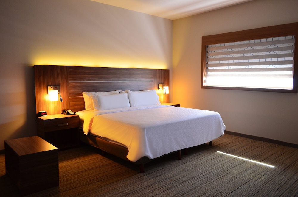 Holiday Inn Express And Suites Ciudad Obregon 26/77