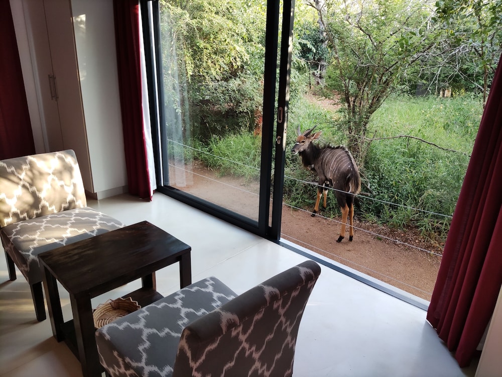 Gem in the Bush Lodge 19/50
