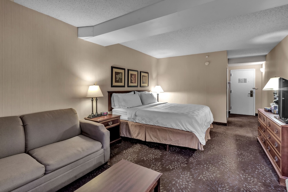 Buffalo Airport Hotel 14/61