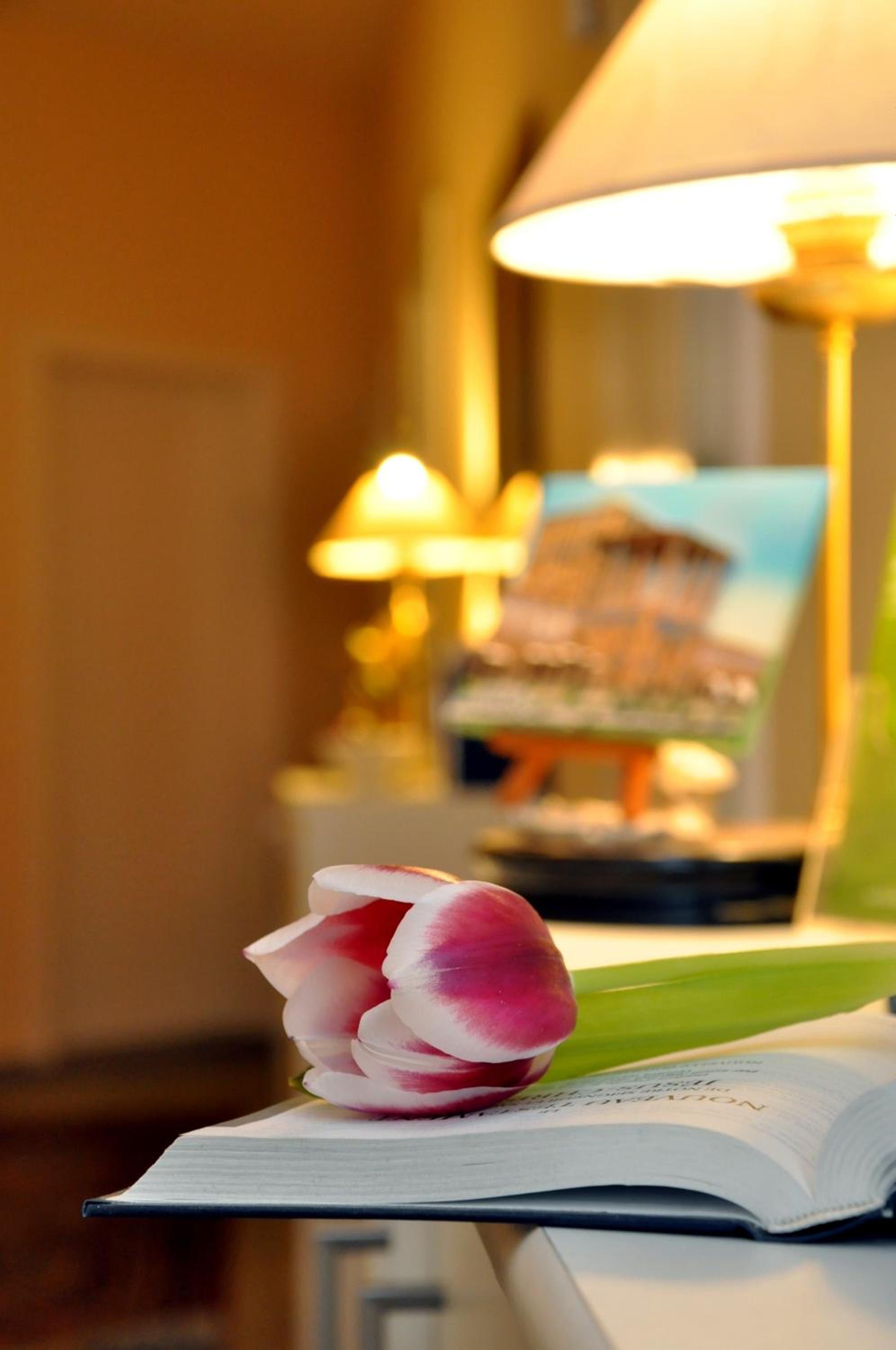 Apadana Hotel 27/50