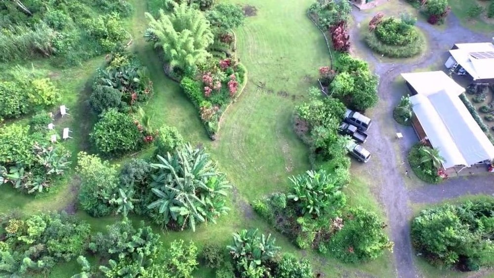 Hawaiian Sanctuary 41/50