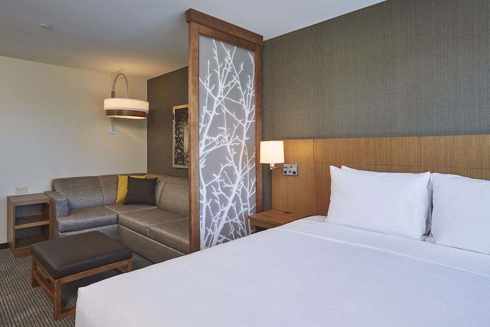 Hyatt Place Toronto Mississauga Centre 18/57