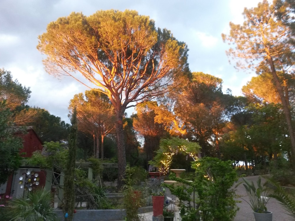 Les Mayombes 24/31