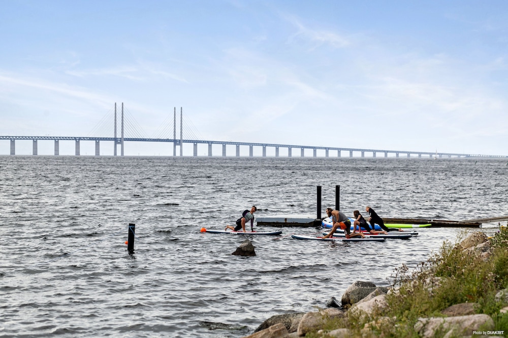 First Camp Malmö 37/50