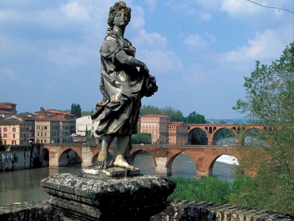 Mercure Albi Bastides 1/61