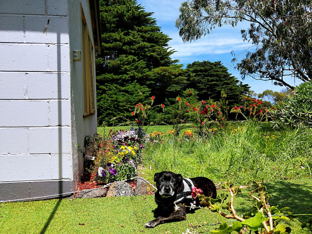 TWELVE APOSTLES MOTEL & COUNTRY RETREAT 34/50