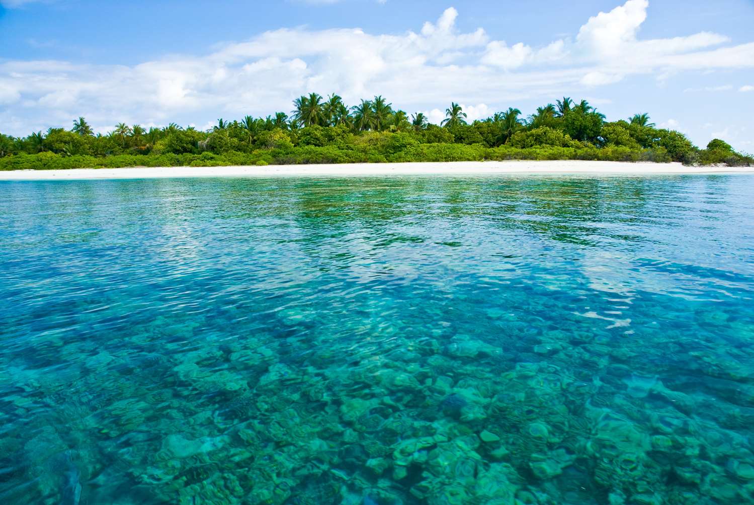 Coco Palm Dhuni Kolhu 46/56