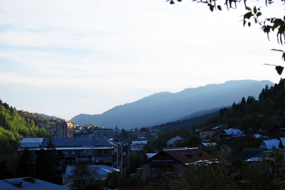 Hotel Old Borjomi 44/50