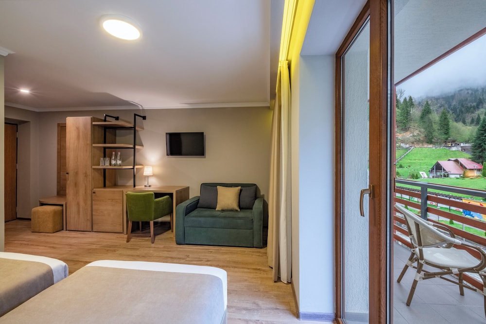 Sairme Hotels & Resorts 13/37