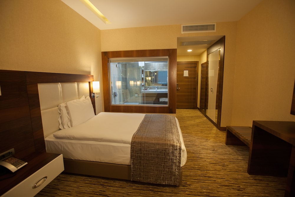 Mittania Regency Hotel 9/33