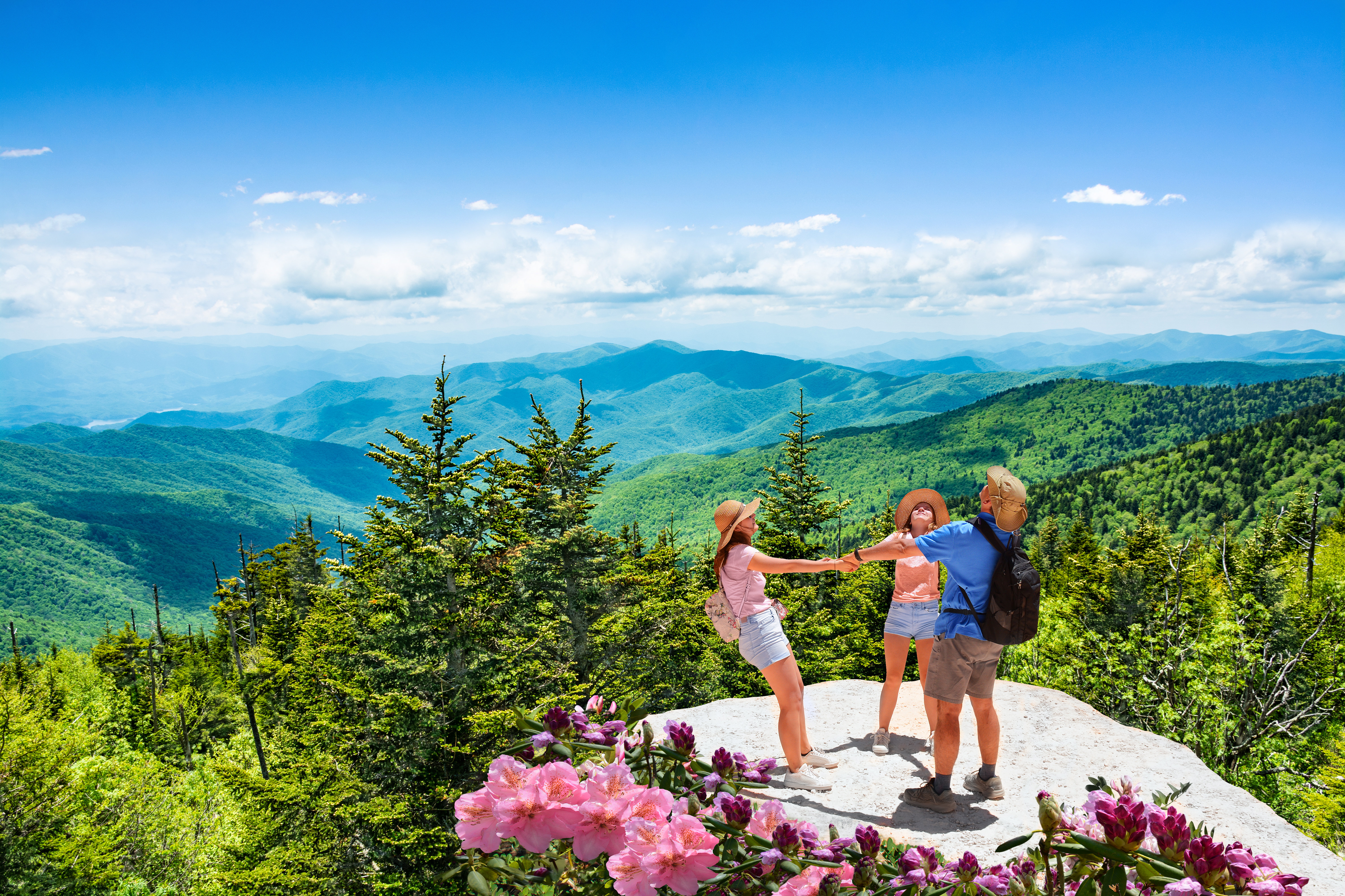 Holiday Inn Express & Suites Asheville SW - Outlet Ctr Area 26/34