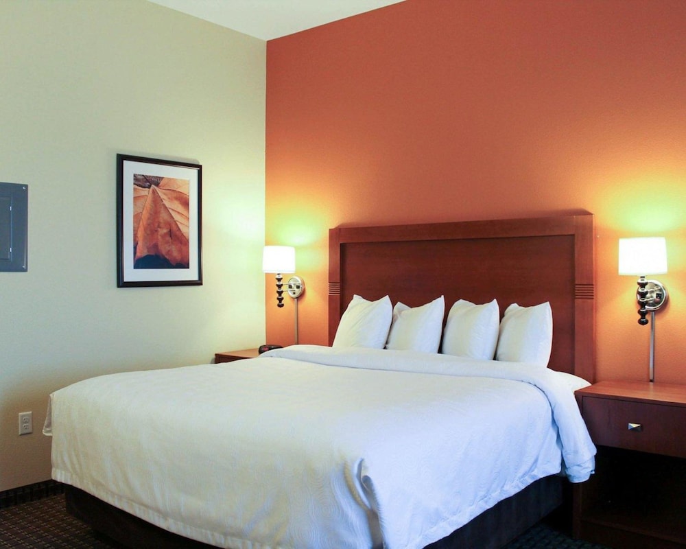 Mainstay Suites Tioga 10/47