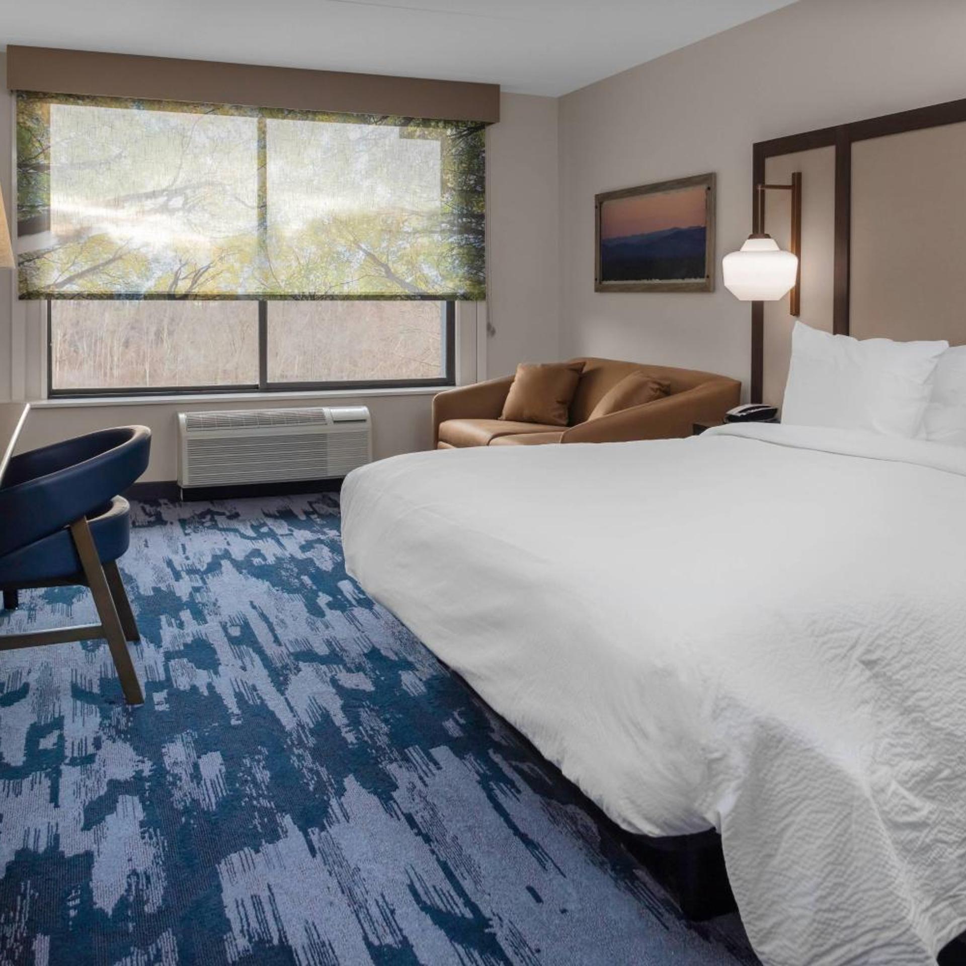 Room, King Bed, Bathtub, Accessible