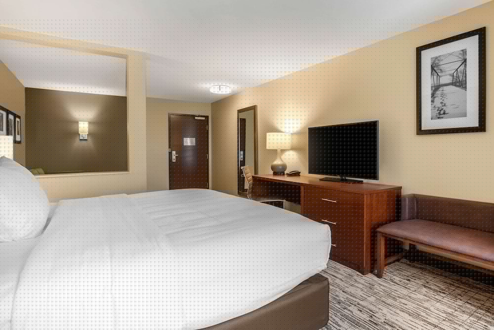 Comfort Inn and Suites Ames Near ISU Campus 17/41