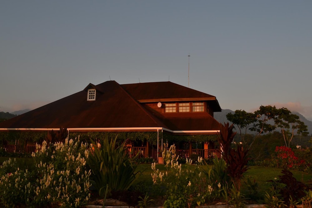 Finca Hamburgo 6/64