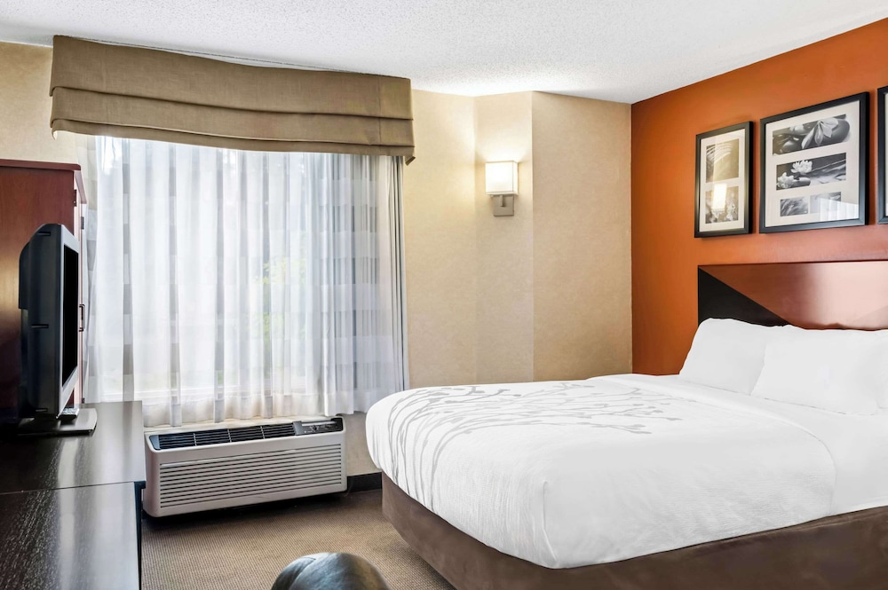 ROOM, QUEEN BED, ACCESSIBLE