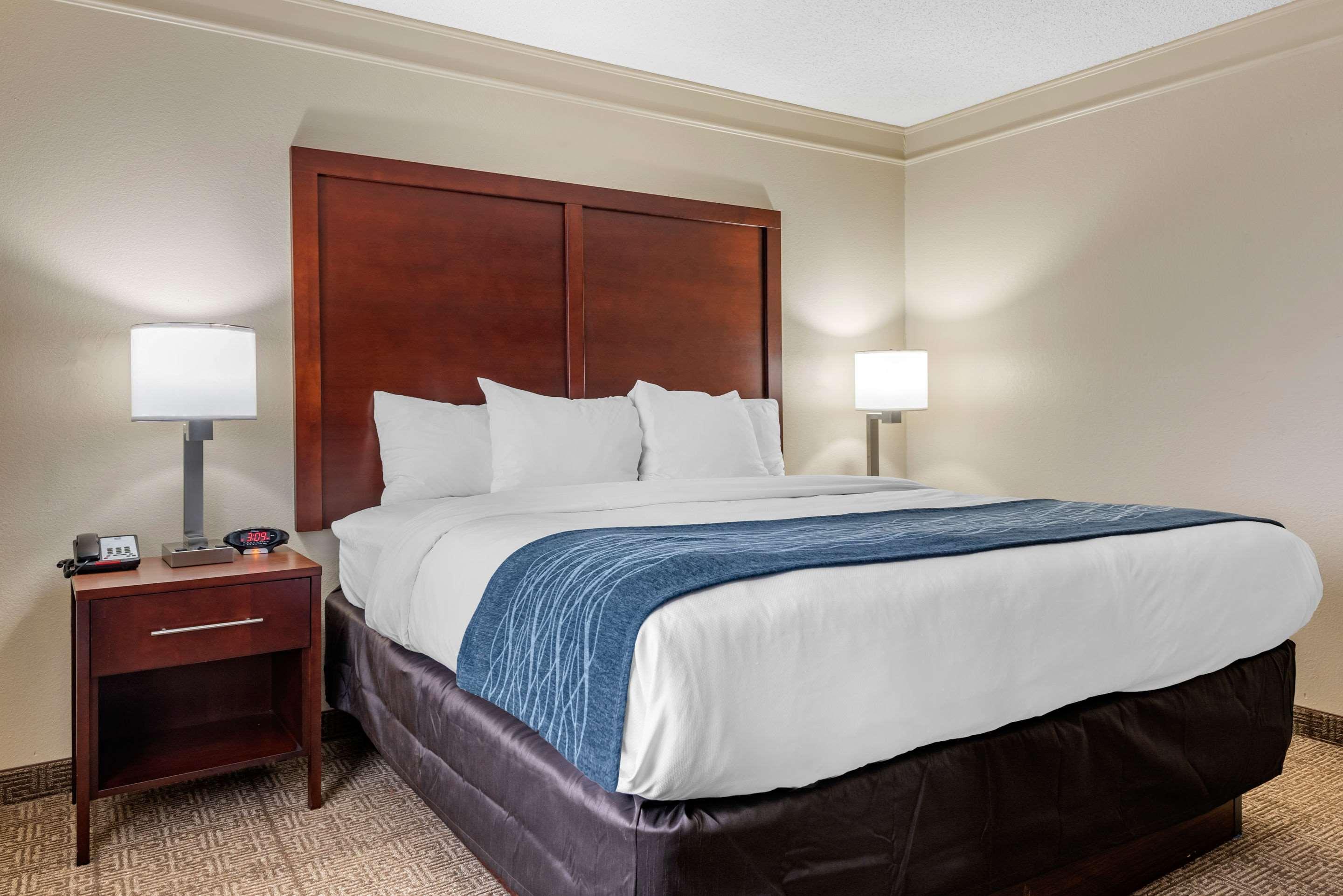 Suite, King Bed