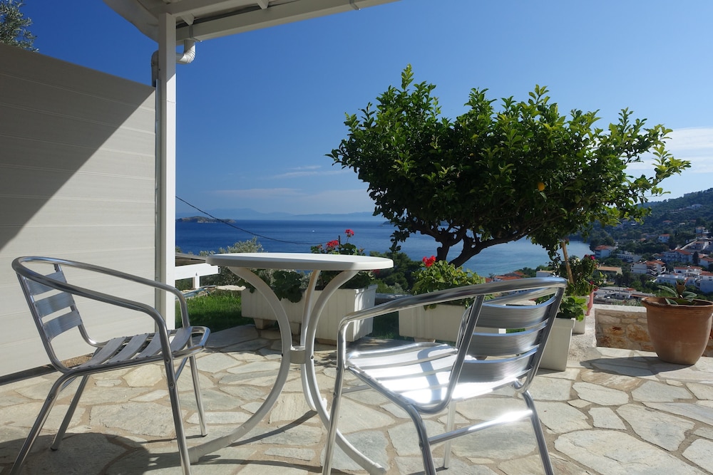 Hotel Rene 12/60