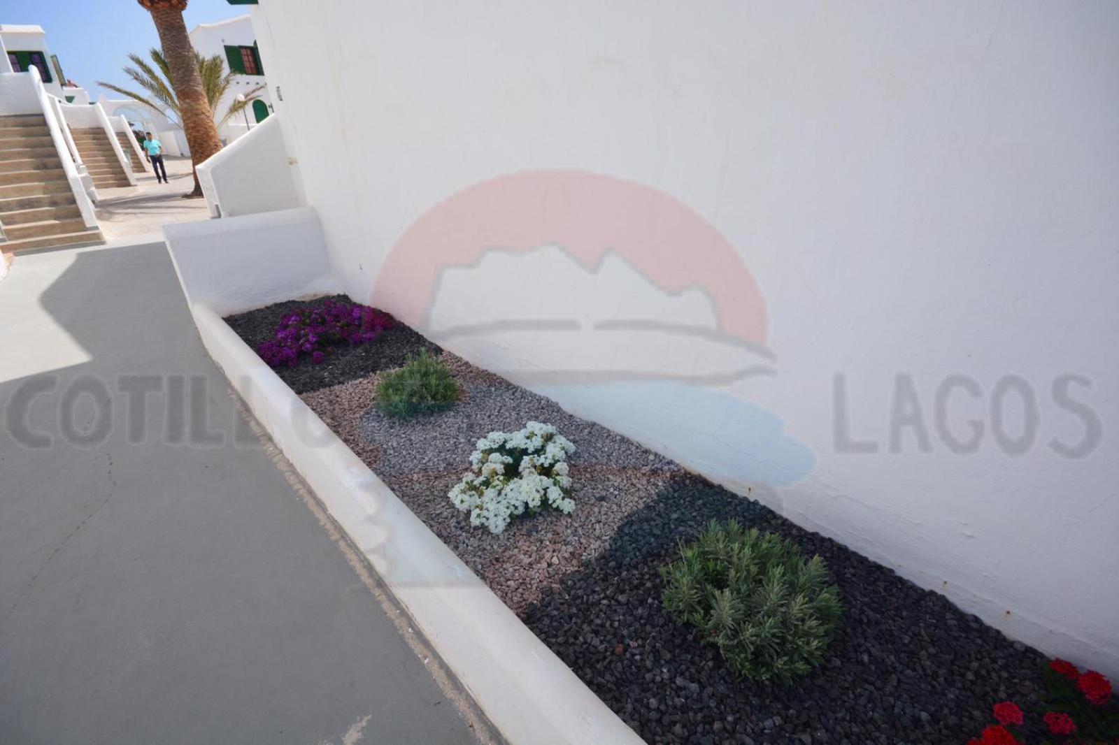 Cotillo Lagos 19/50