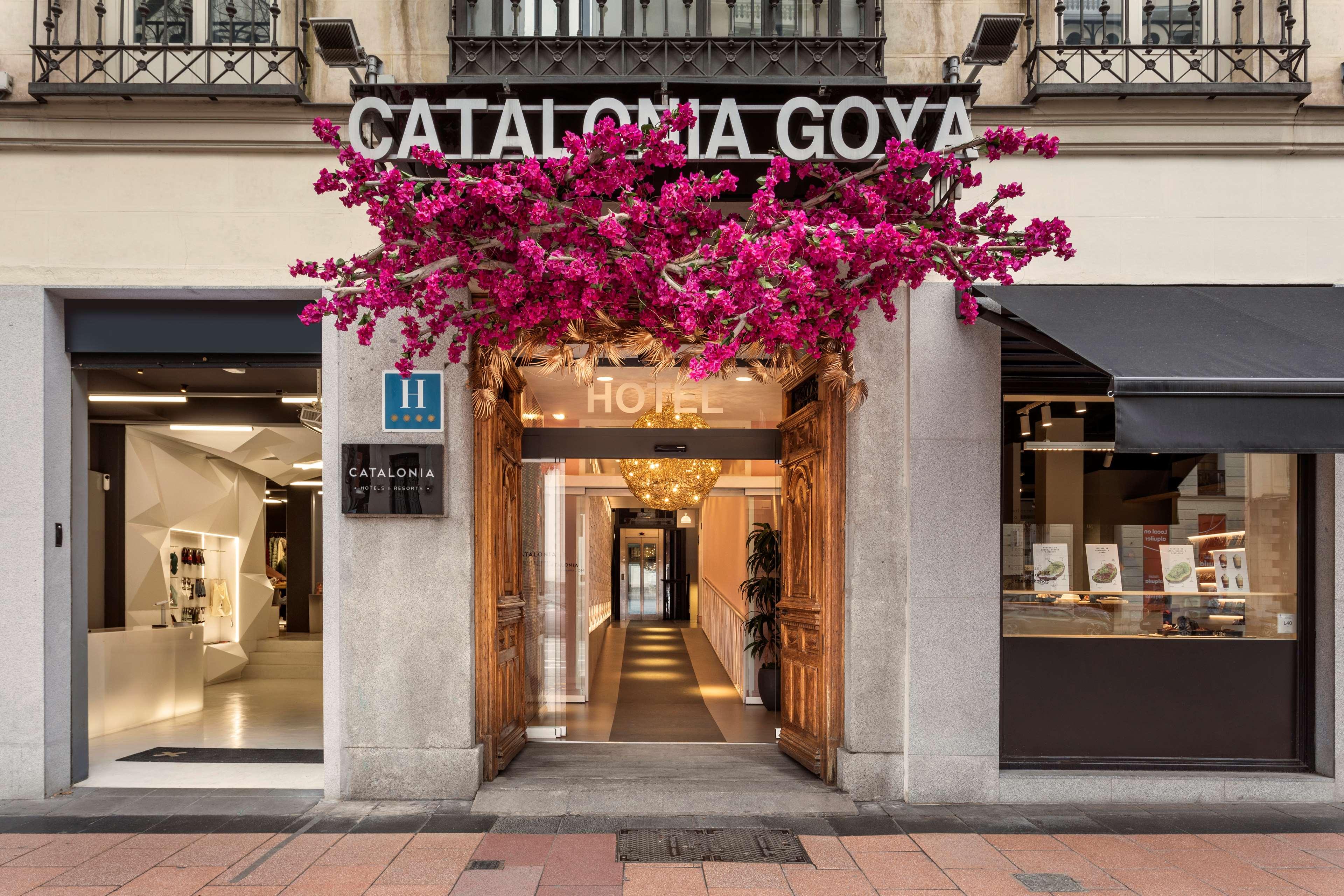 Catalonia Goya 9/65