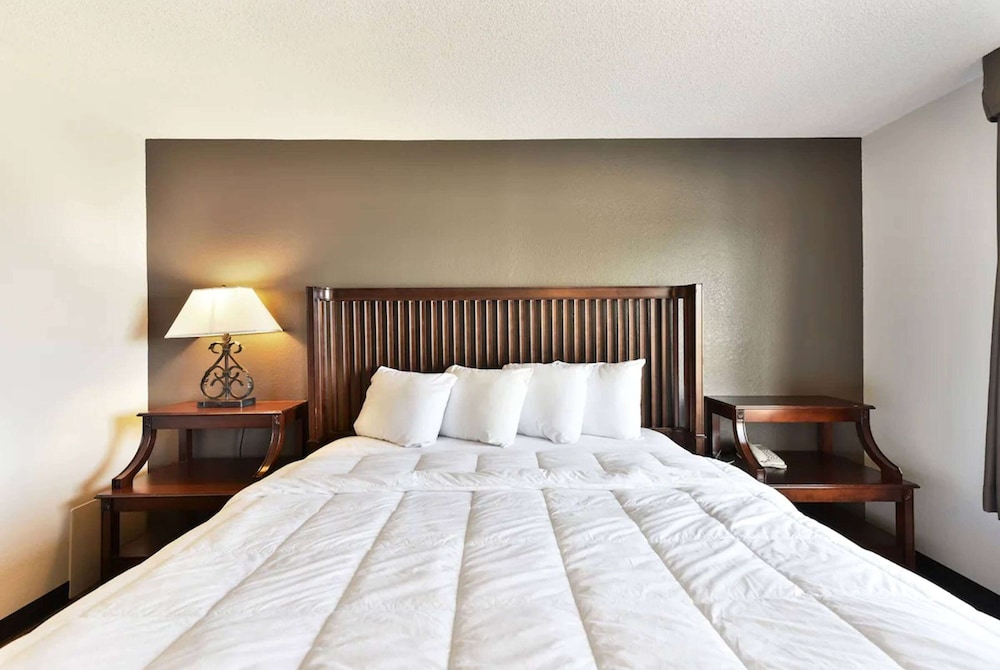 Baymont Inn And Suites By Wyndham Columbus / Near Osu 29/60