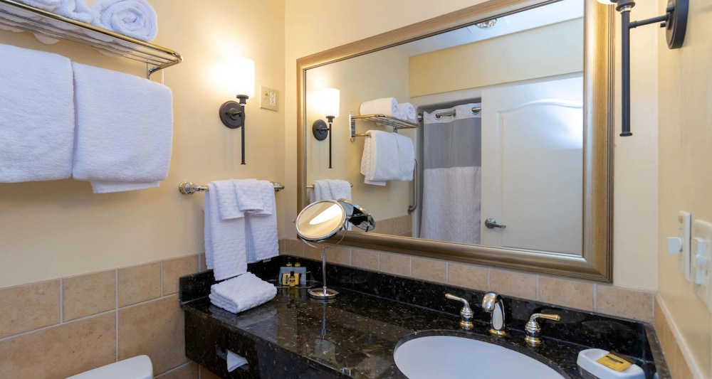 Best Western Plus Vineyard Inn & Suites 20/51