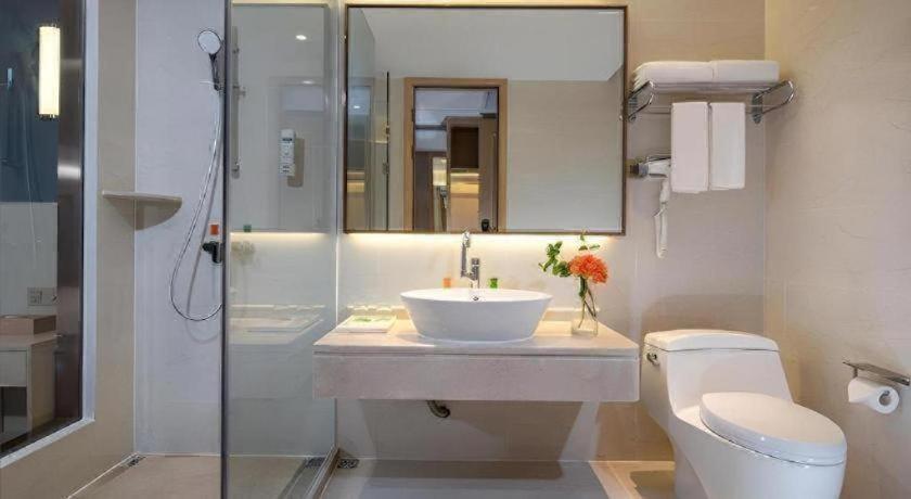 Vienna Hotel (Zhongshan Xiaolan High Speed Railway Station) 59/59