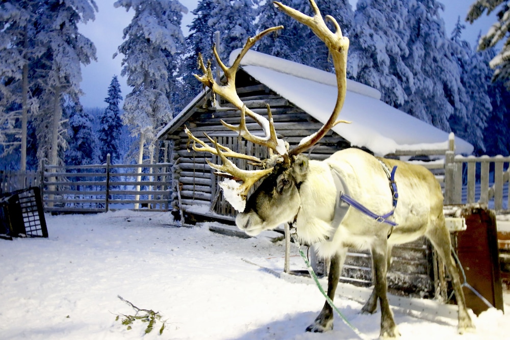 Holiday Club Salla 48/50