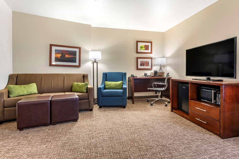 Comfort Suites Fernley 23/34