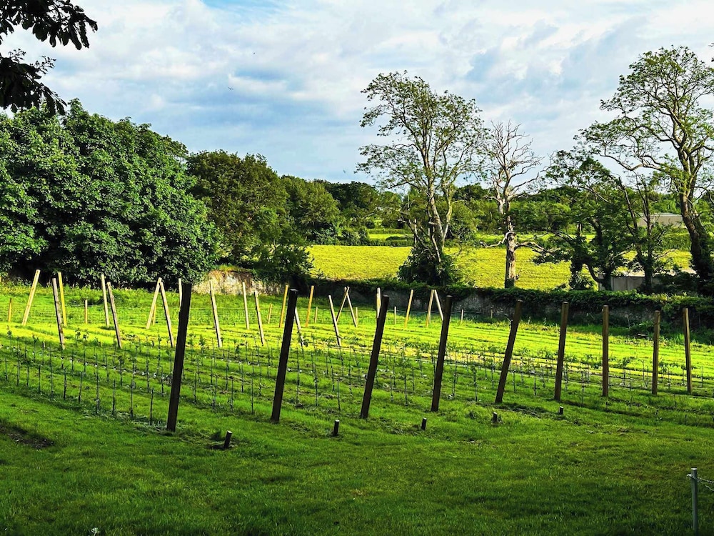 Plas Dinas Country House 24/50