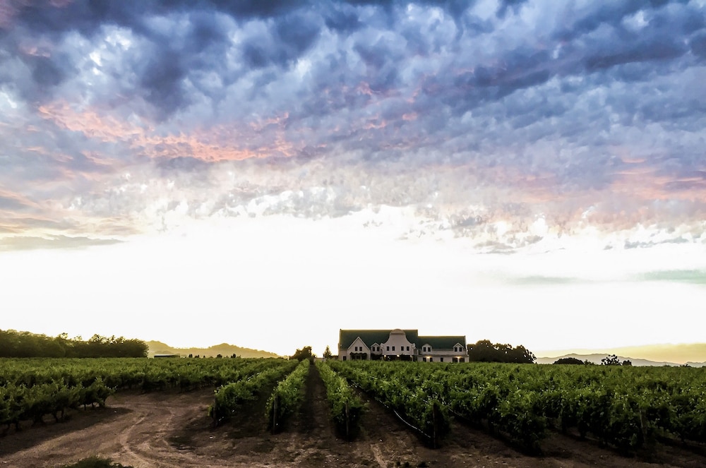 Cana Vineyard Guesthouse 57/76